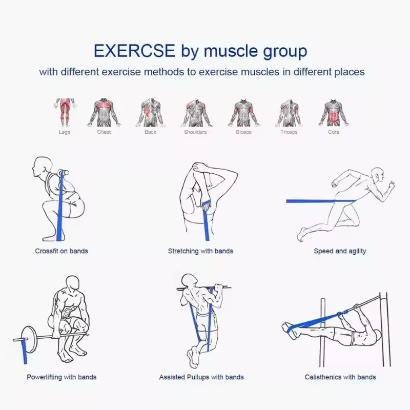 💪 Natural Latex Power Band – Strength & Pull-Up Resistance Band