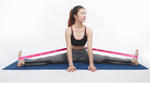 Load image into Gallery viewer, 🧘 9-Grid Yoga Resistance Band – Stretch &amp; Dance Band for All Ages
